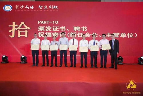 福建省信息技術咨詢服務行業協會會長陳維芳向全國人民拜新年